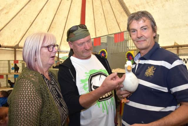 Stuart Kay with his champion white call duck and show visitors. Picture: John Edwards