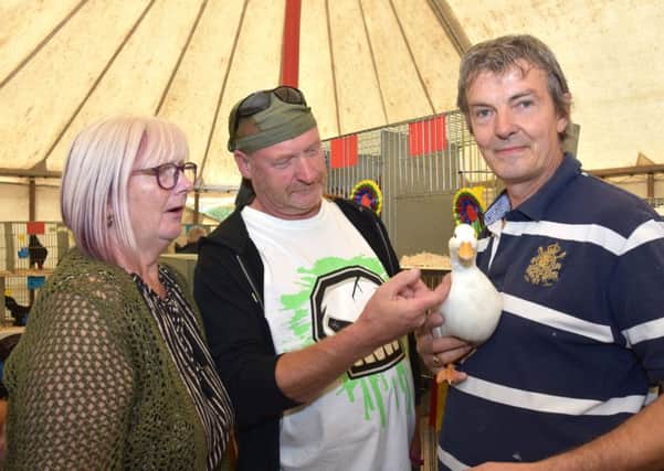 Stuart Kay with his champion white call duck and show visitors. Picture: John Edwards