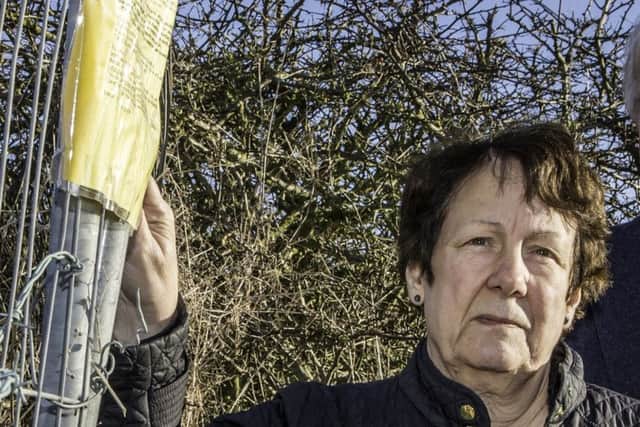 Town councillors Fiona Martin and Brian Burbidge who have regularly warned about developing close to Thunkers Drain. Picture: John Aron.