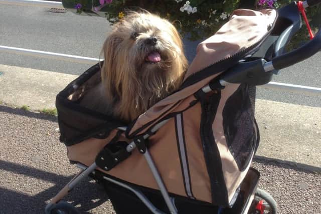 Riding in style.