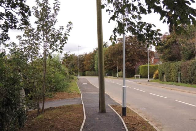 Stumped - residents were suprised to see the new footpath in Quarrington laid with a telegraph pole in the middle of it. EMN-190110-120507001