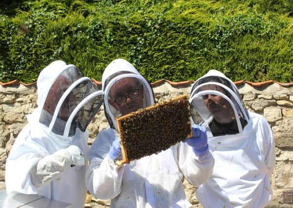 Looking for funding to create their own communal apiary - Sleaford Beekeepers. EMN-190810-090943001