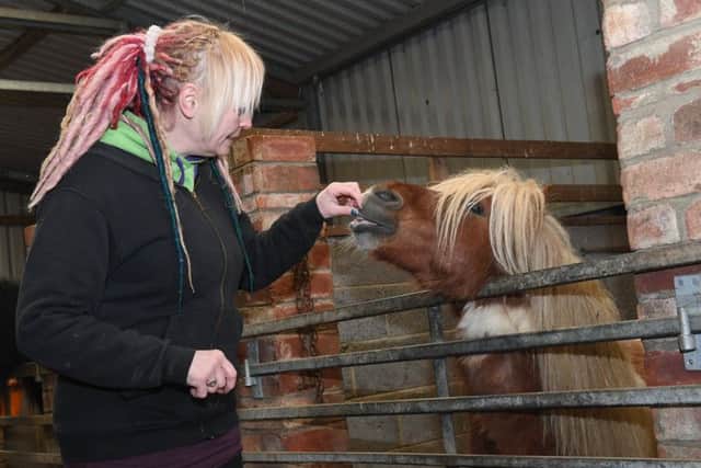 Northcote Heavy Horse Centre's Terena Bolam with her pony Merlin at a fundraiser last year.