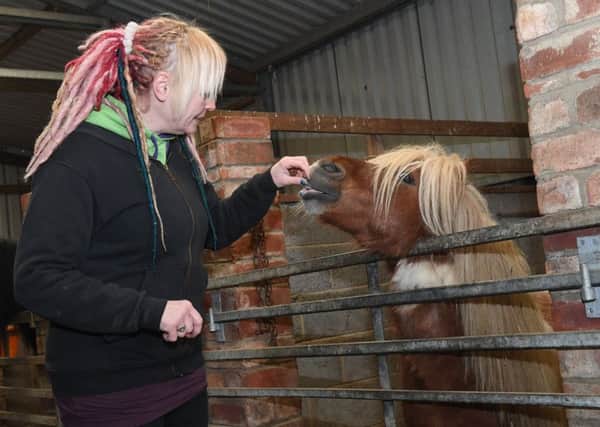 Northcote Heavy Horse Centre's Terena Bolam with her pony Merlin at a fundraiser last year.