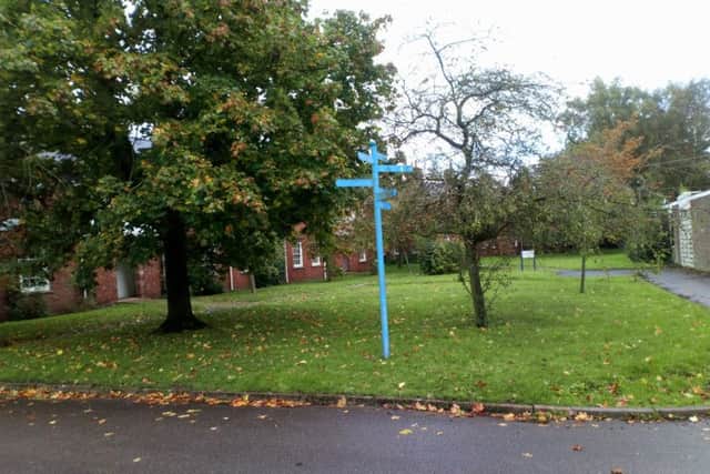 The site.