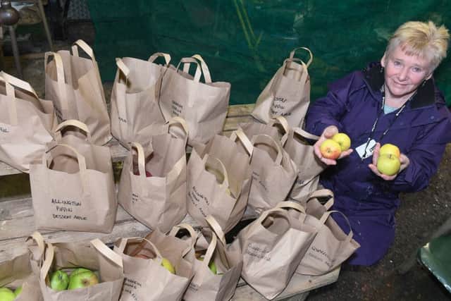Gunby Hall volunteer Margaret Dewrance selling Gunby Hall apples.