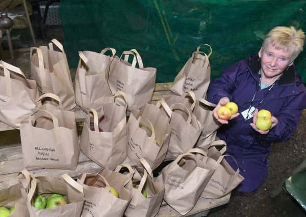 Gunby Hall volunteer Margaret Dewrance selling Gunby Hall apples.