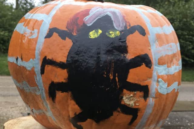 One of the pumpkins decorated by Wragby Brownies