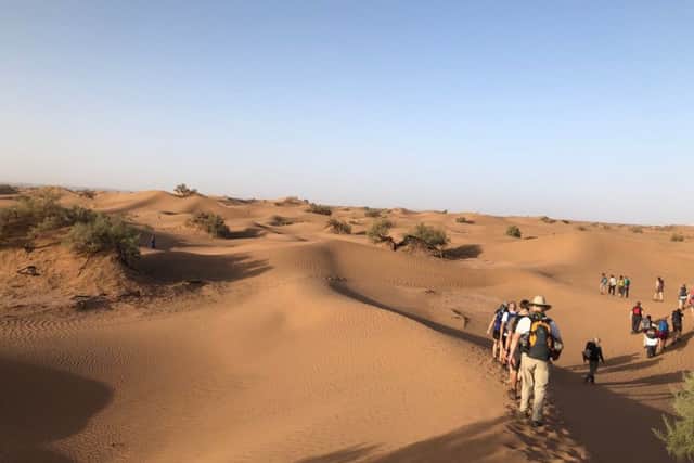 Sand, sand and more sand:  The trekkers head across the Sahara dunes