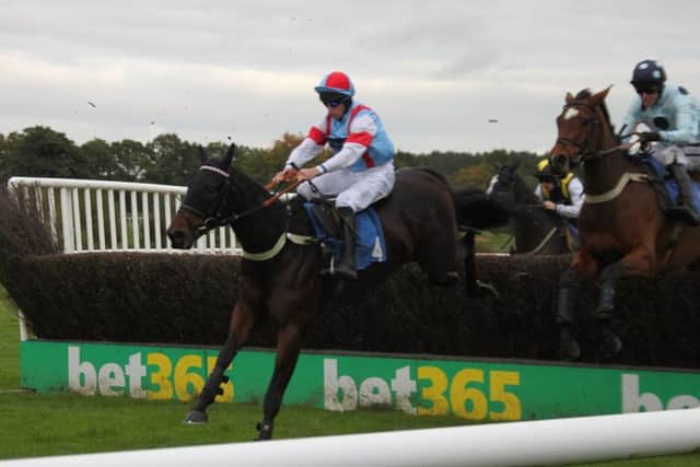 Rouge Vif gave an impressive display of jumping to win the feature Novice Chase EMN-191021-133055002