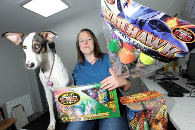 Eastfield Vets veterinary nurse Julie Brewer and Twiggy with fireworks, pictured last year.