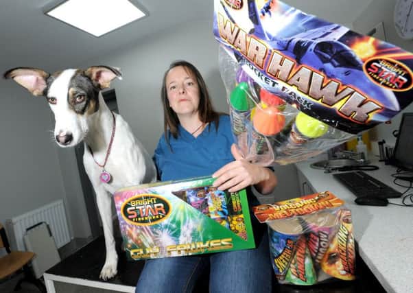Eastfield Vets veterinary nurse Julie Brewer and Twiggy with fireworks, pictured last year.