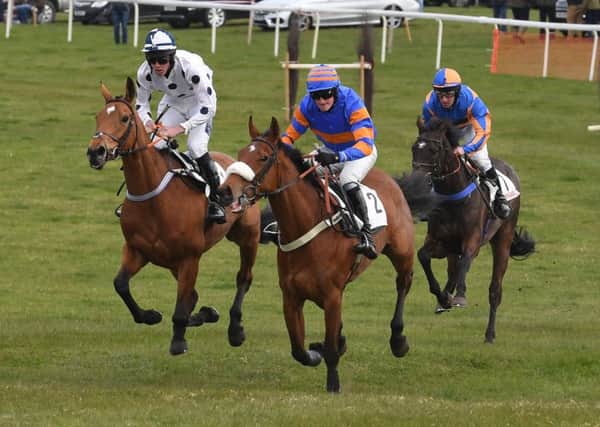 Some of the action from last year's Point to Point races.