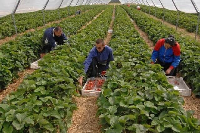 Farmers, NHS and the care industry have expressed concerns over the impact of Brexit on migrant workers.