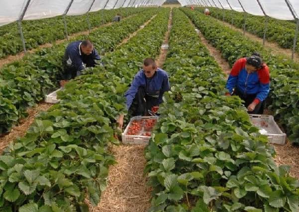 Farmers, NHS and the care industry have expressed concerns over the impact of Brexit on migrant workers.