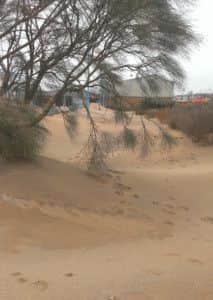 A path near the RNLI shed in Skegness before the clean-up operation began.