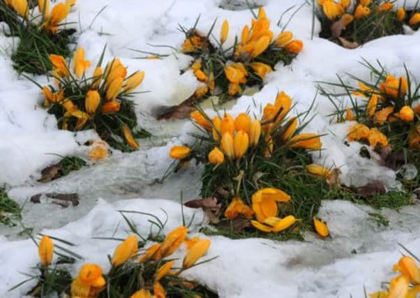 This year's March was the coldest since 1892 in the central England region.