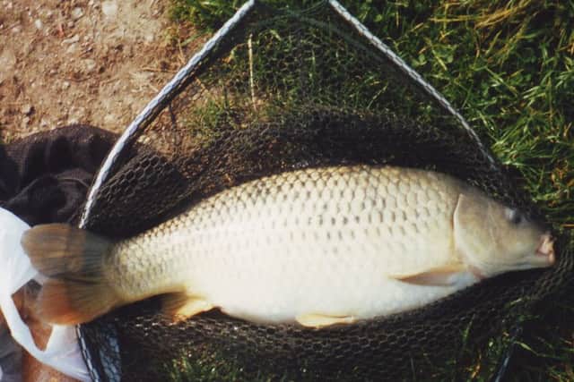 Angling