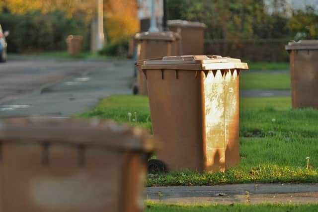 Brown bins. Photo: Paul Franks