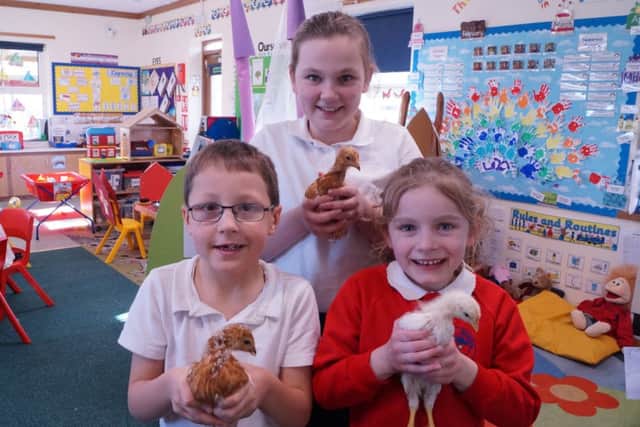 Pictured with the chicks on their recent visit to Legsby School are Charlotte Randle, Lily Merrigan and three Lewis Bainbridge. EMN-140320-135837001