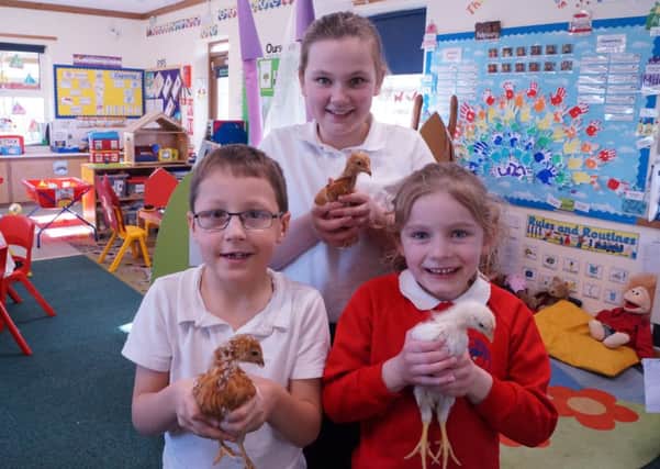 Pictured with the chicks on their recent visit to Legsby School are Charlotte Randle, Lily Merrigan and three Lewis Bainbridge. EMN-140320-135837001