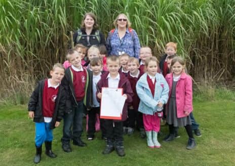 Chapel St Leonard pupils down on the farm at Abbey Farm, Kirkstead, Woodhall Spa. EMN-140918-122545001
