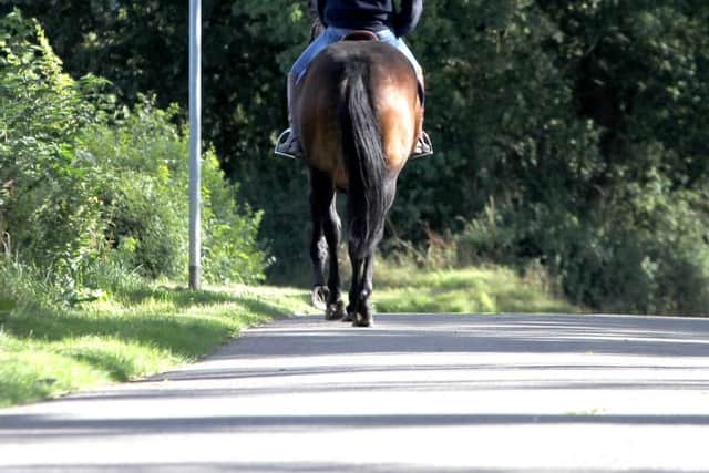 Horse Rider: Stock image