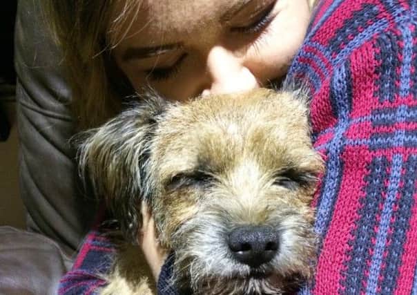 Devoted friends Heston the terrier and Jasmine Elcoate have been reunited.