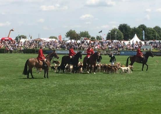 Lincs Show