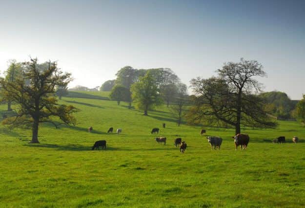Lincolnshire tourism is booming