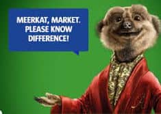 Alexander meerkat