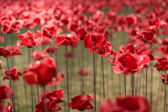 Lincoln Castle is to host the Poppy Wave EMN-151130-120211001