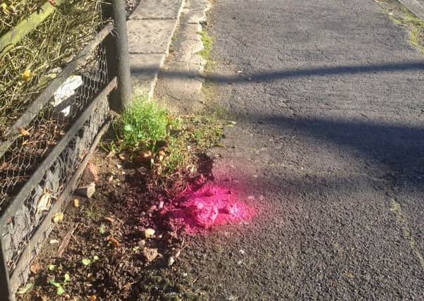 A pile of dog poo sprayed pink EMN-151126-153801001