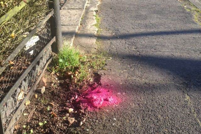 A pile of dog poo sprayed pink EMN-151126-153801001