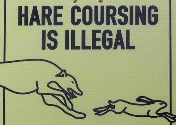 Hare coursing poster