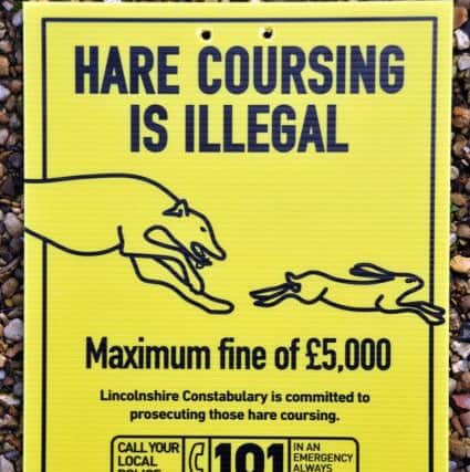 Hare coursing