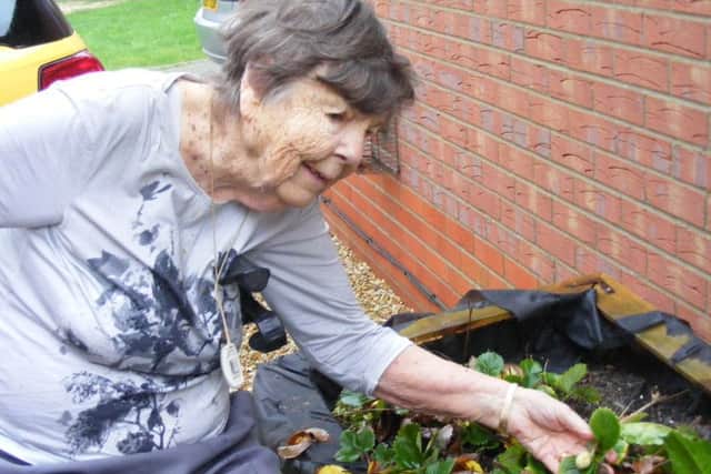 Jean Sleath of Heckington with her 'winter' strawberry. EMN-160701-150625001