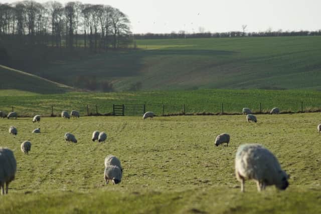 Lincolnshire Wolds EMN-160119-092801001