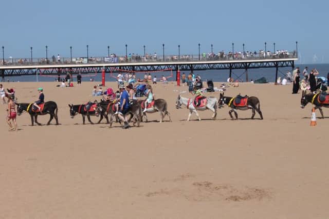 An exciting move could give businesses more say on what happens along the coast.