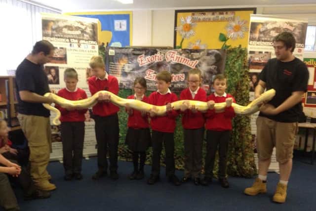 Leasingham St Andrew's School had a visit from Rob Louth from Reptile Life, Ruskington.