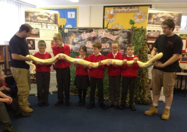 Leasingham St Andrew's School had a visit from Rob Louth from Reptile Life, Ruskington.