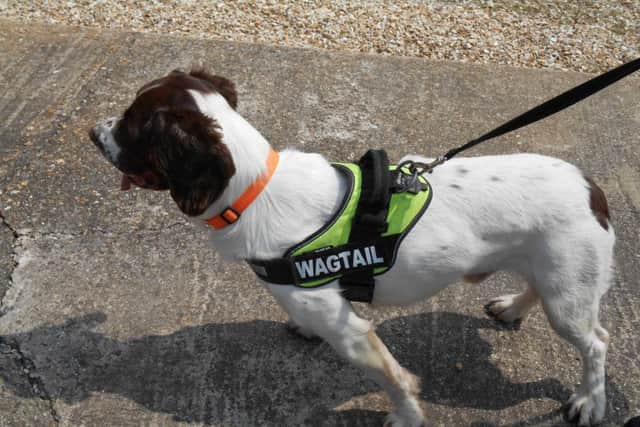 The sniffer dog.