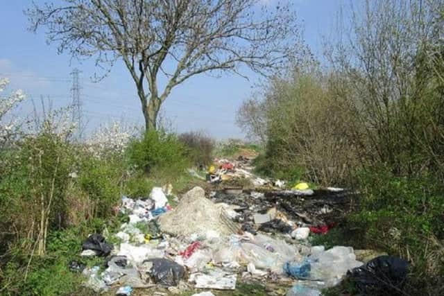 Coun Marianne Overton fears more costly fly tipping like this could be a result of waste tip closures. EMN-160113-175726001