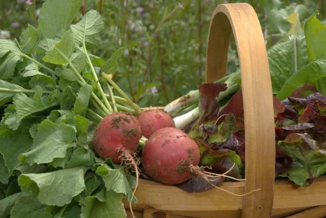 Celebrate Lincolnshire produce at the Local Food for Throught event this weekend.