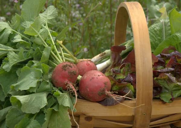 Celebrate Lincolnshire produce at the Local Food for Throught event this weekend.