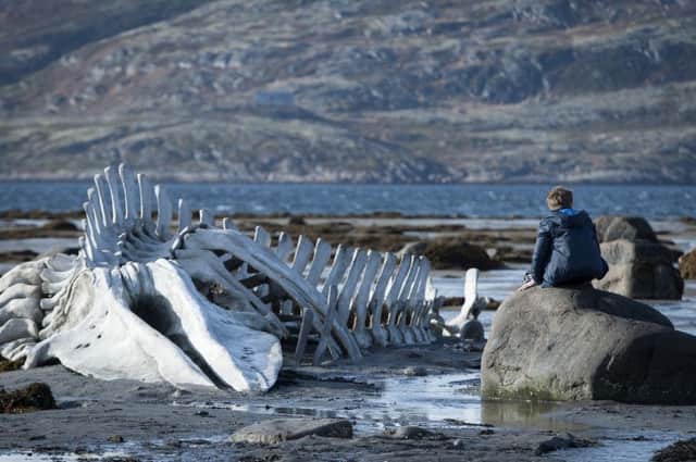 'Leviathan' is set to be shown by Louth Film Club.