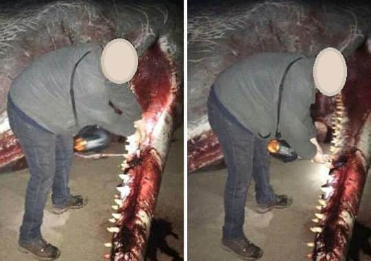The picture circulating Facebook. PVZTQhND0FdEQ9mT8pKq