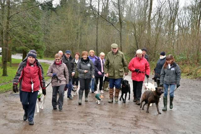 Hosts with Spalding-based Barking Mad enjoy a walk in Bourne Woods with canine companions. SG09116-114TW