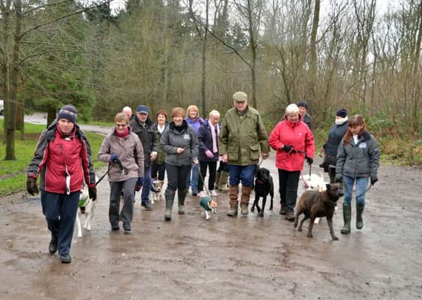 Hosts with Spalding-based Barking Mad enjoy a walk in Bourne Woods with canine companions. SG09116-114TW