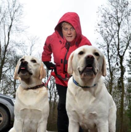 Host Ann Goslyn with her yellow Labradors. SG090116-109TW